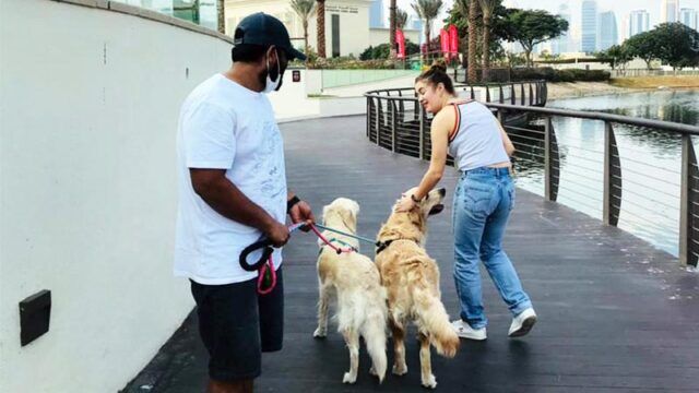 Happy Walk Pet Care 4