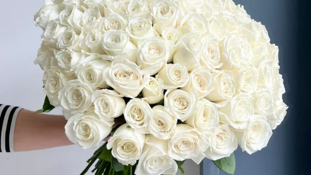 Florette 1