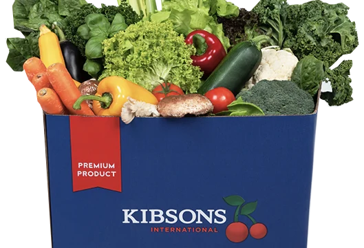 Kibsons 2