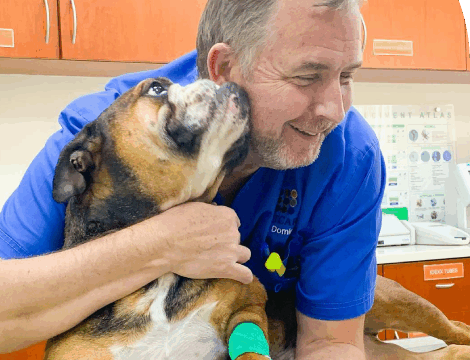 Vetcare 1